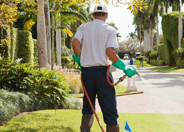 About Mentcle PA Pest Control